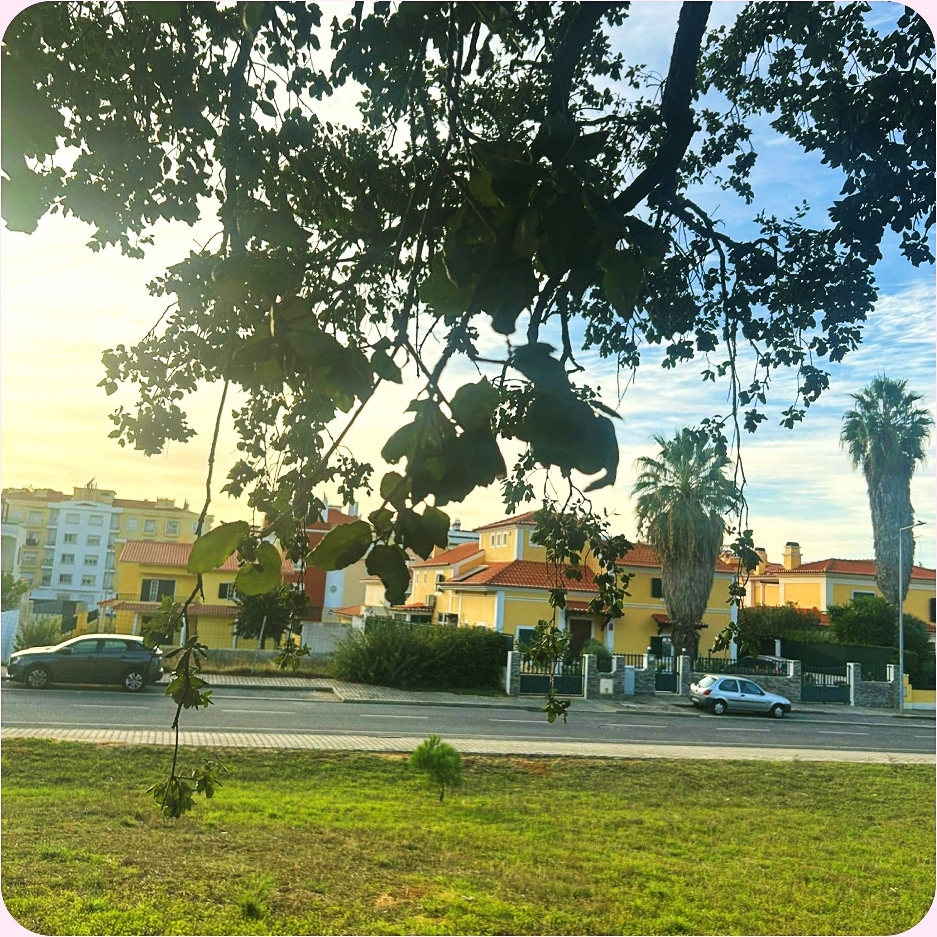 segundo2 editado.jpg