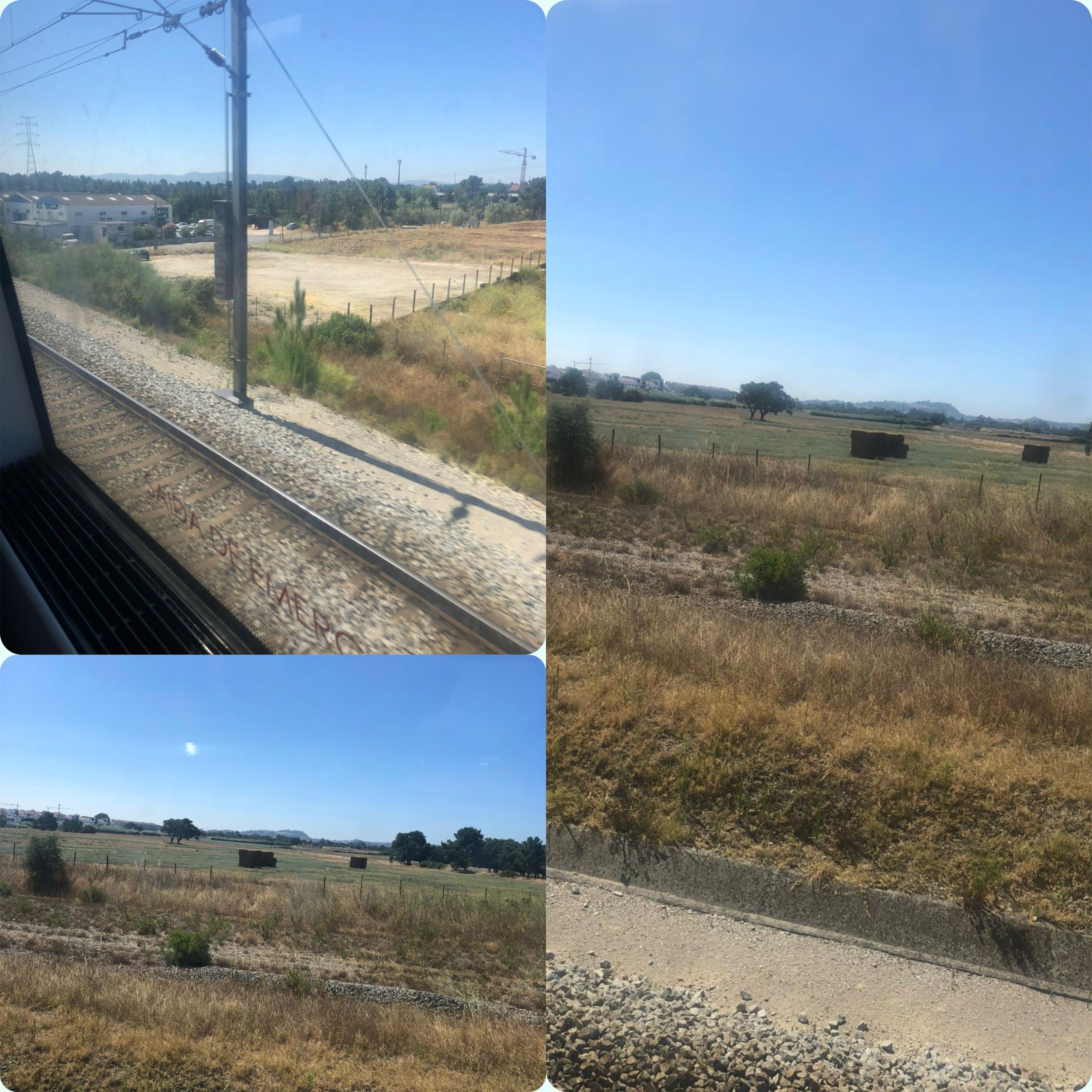 segundo01.jpg