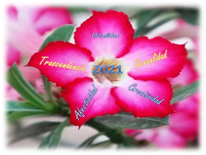 12312312312312322.webp