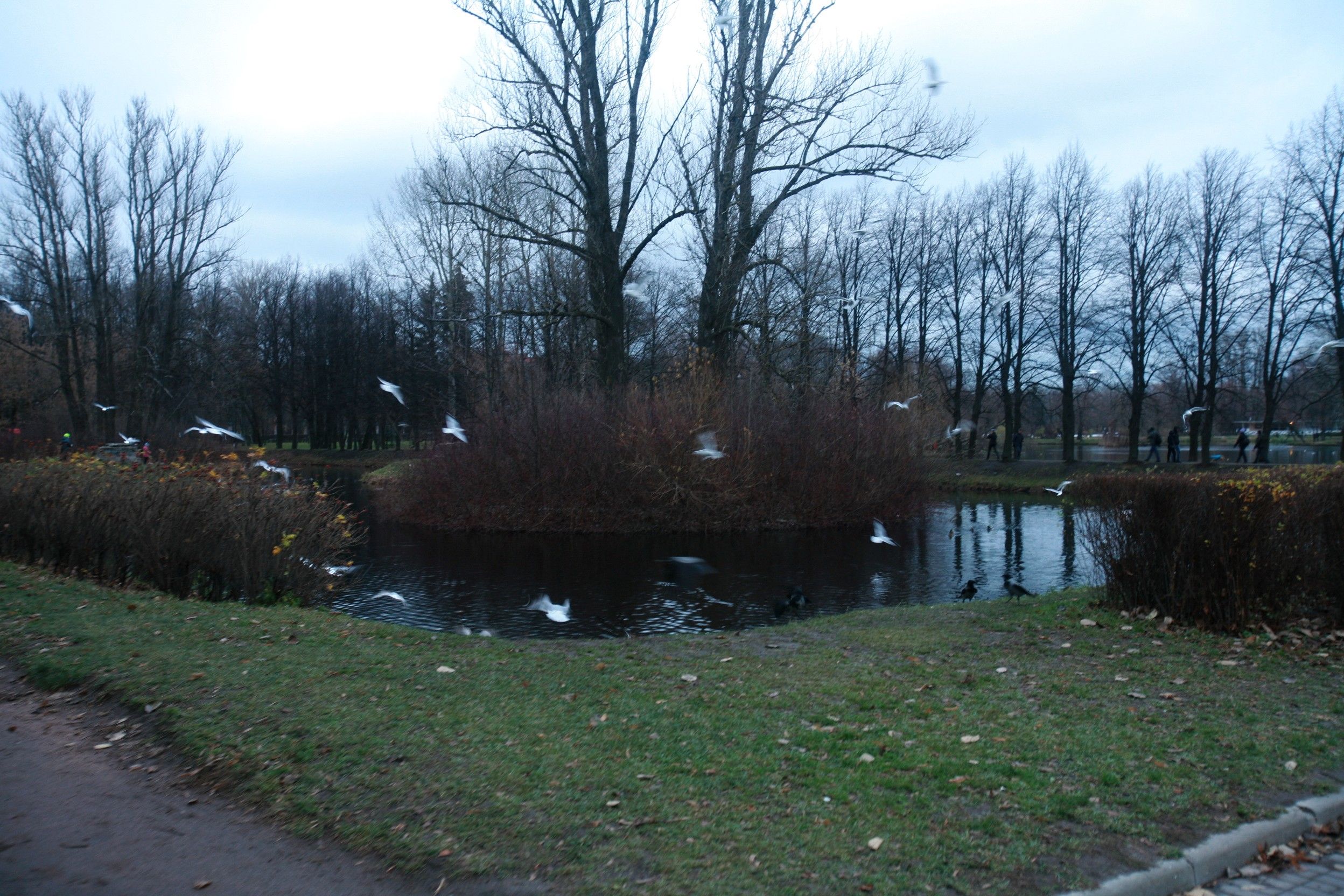 2021-nov-1830w-h.jpg