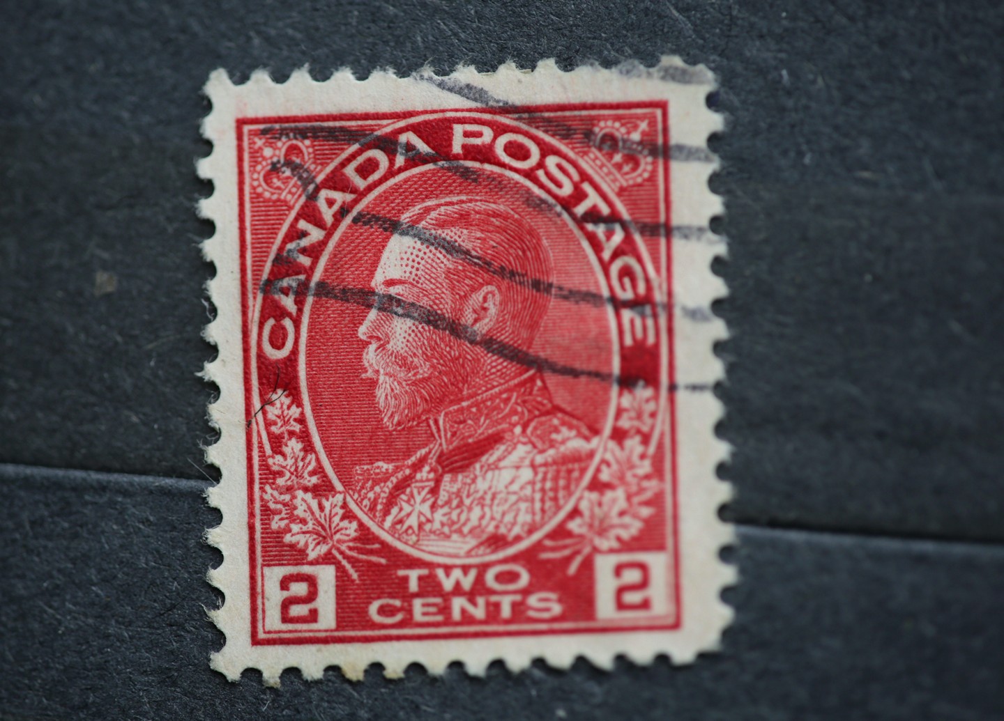 2025-jul-6394w-h.jpg