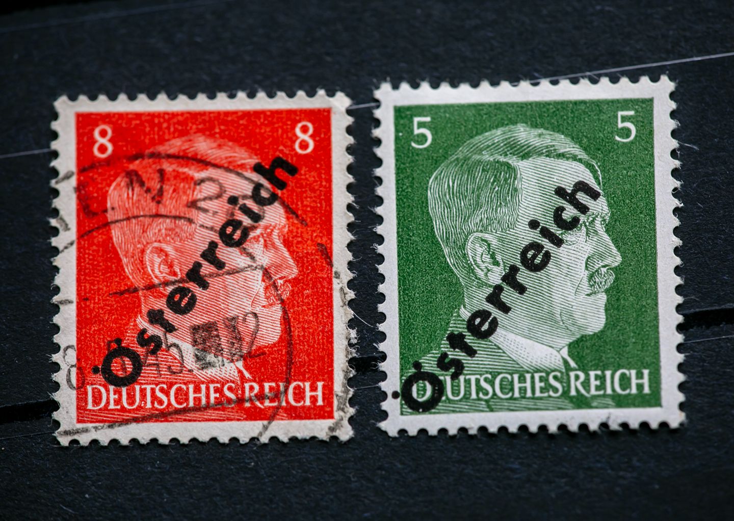 2025-sep-8378w-h.jpg