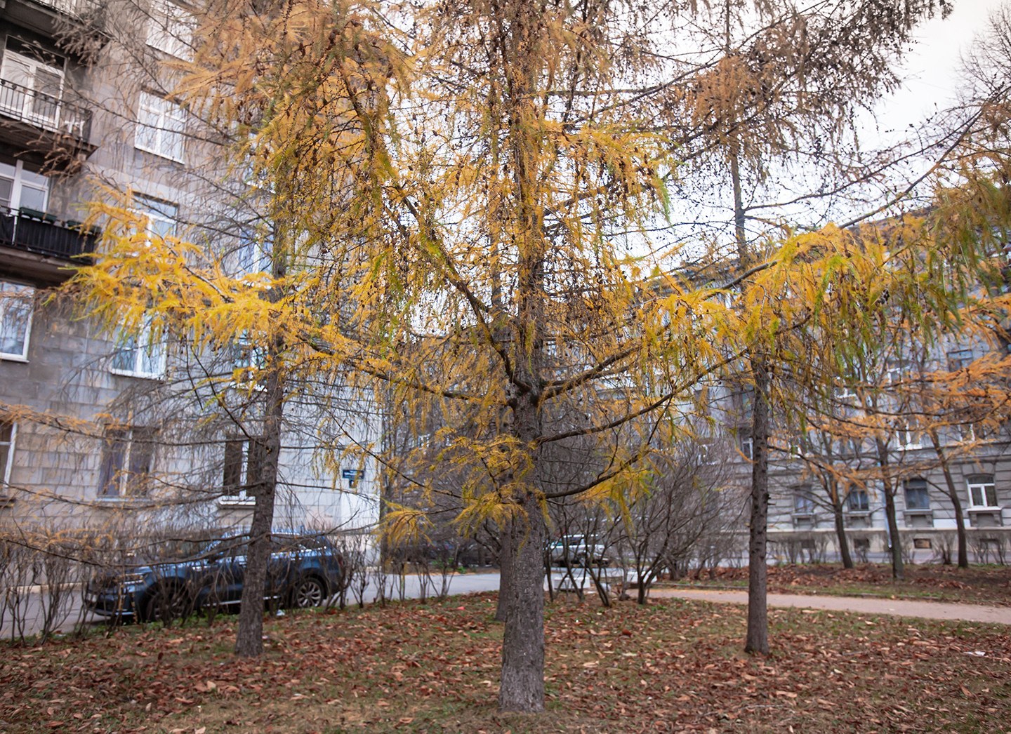2021-nov-1819w-h.jpg