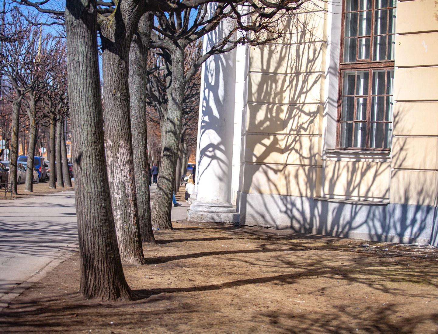 2023-apr-2471w-h1.jpg