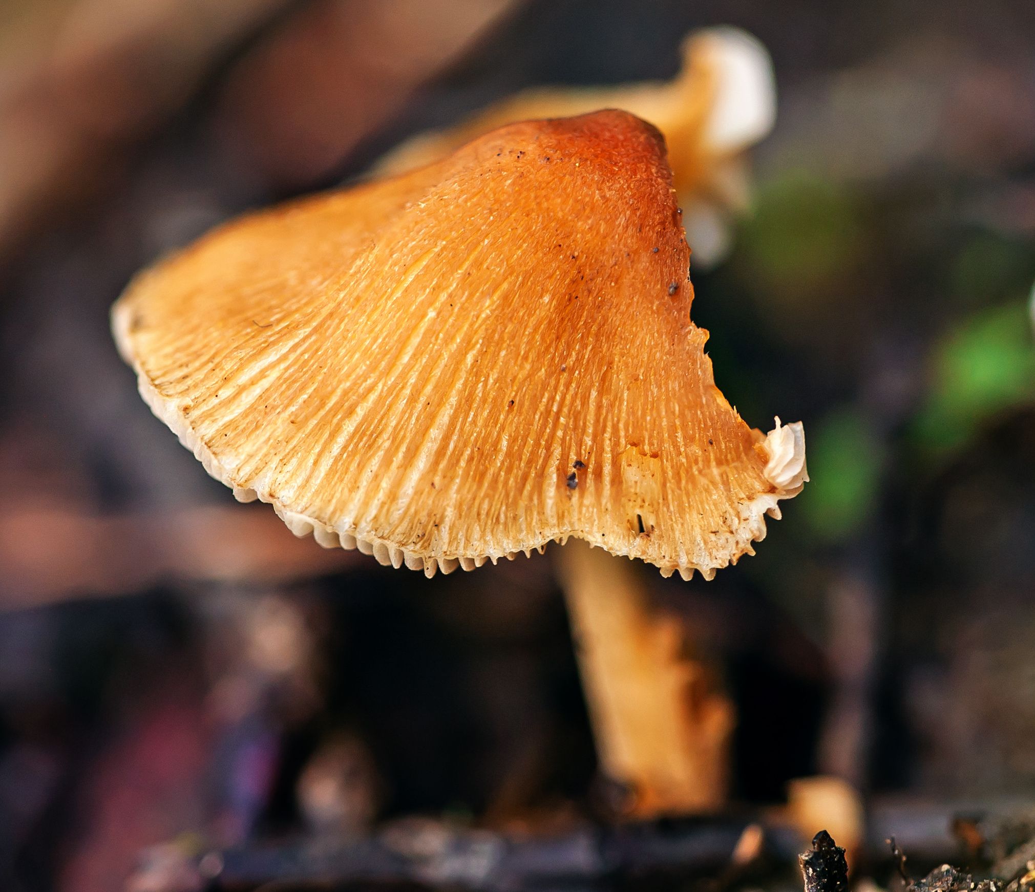 2021-aug-8059w1.jpg