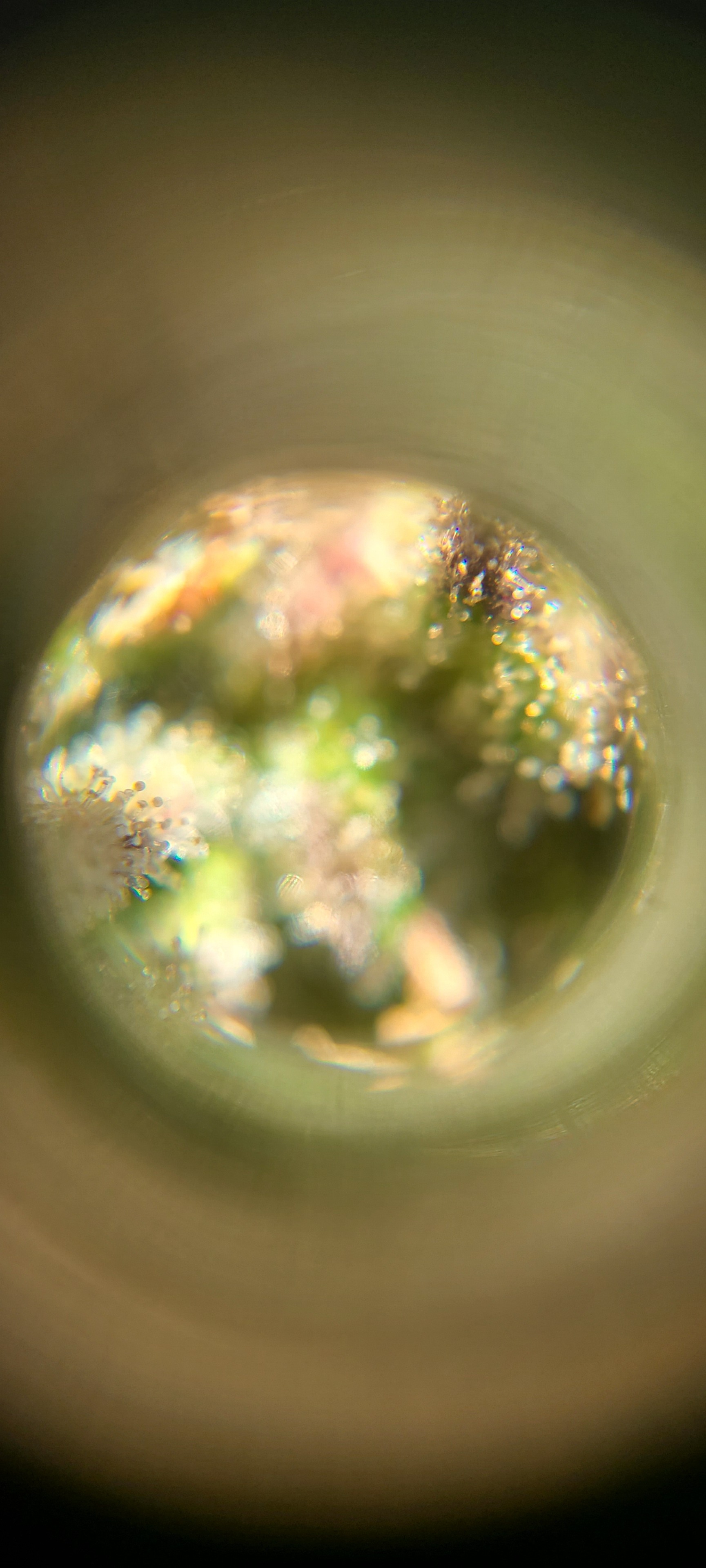 20200901_122109.jpg