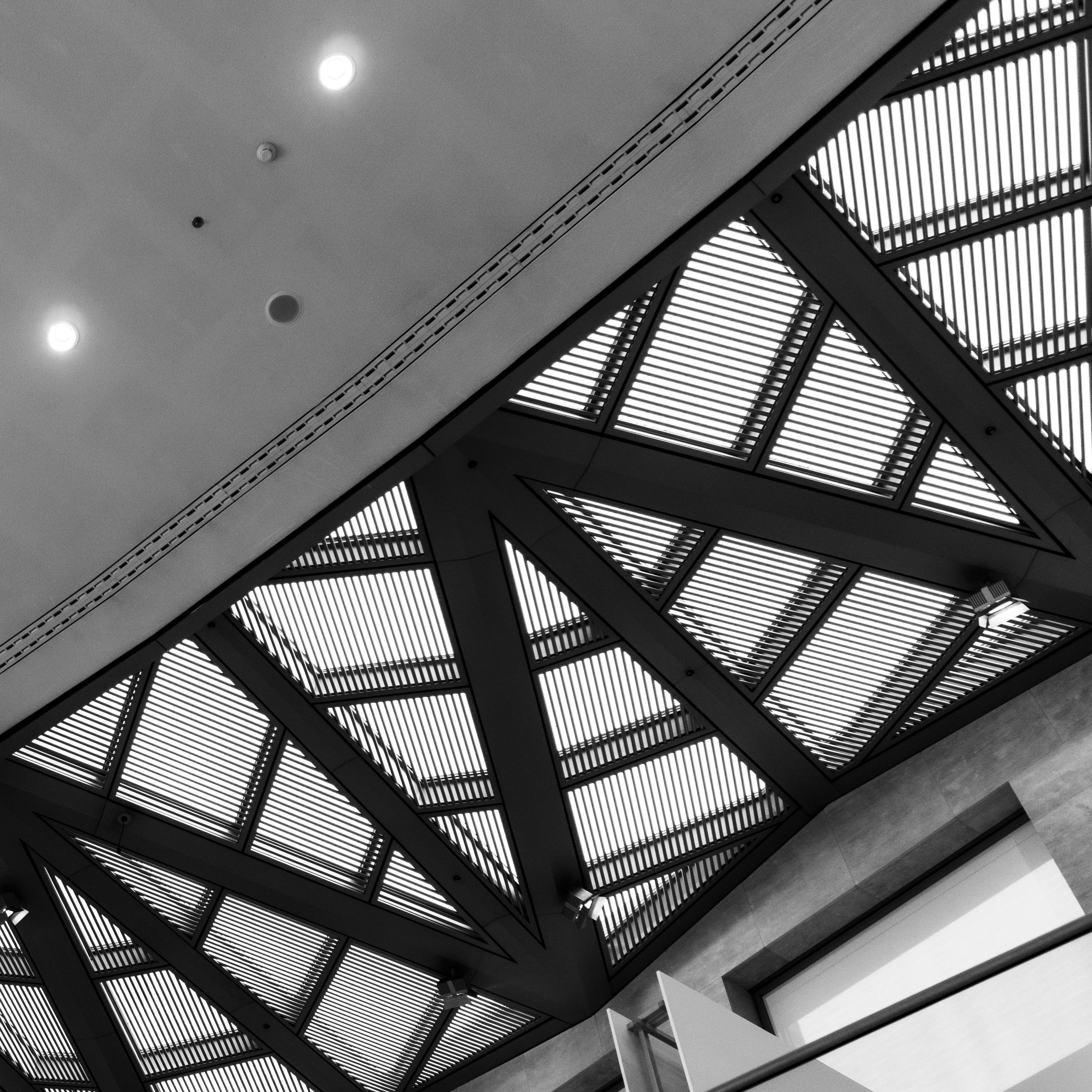 _DSC9619.jpg