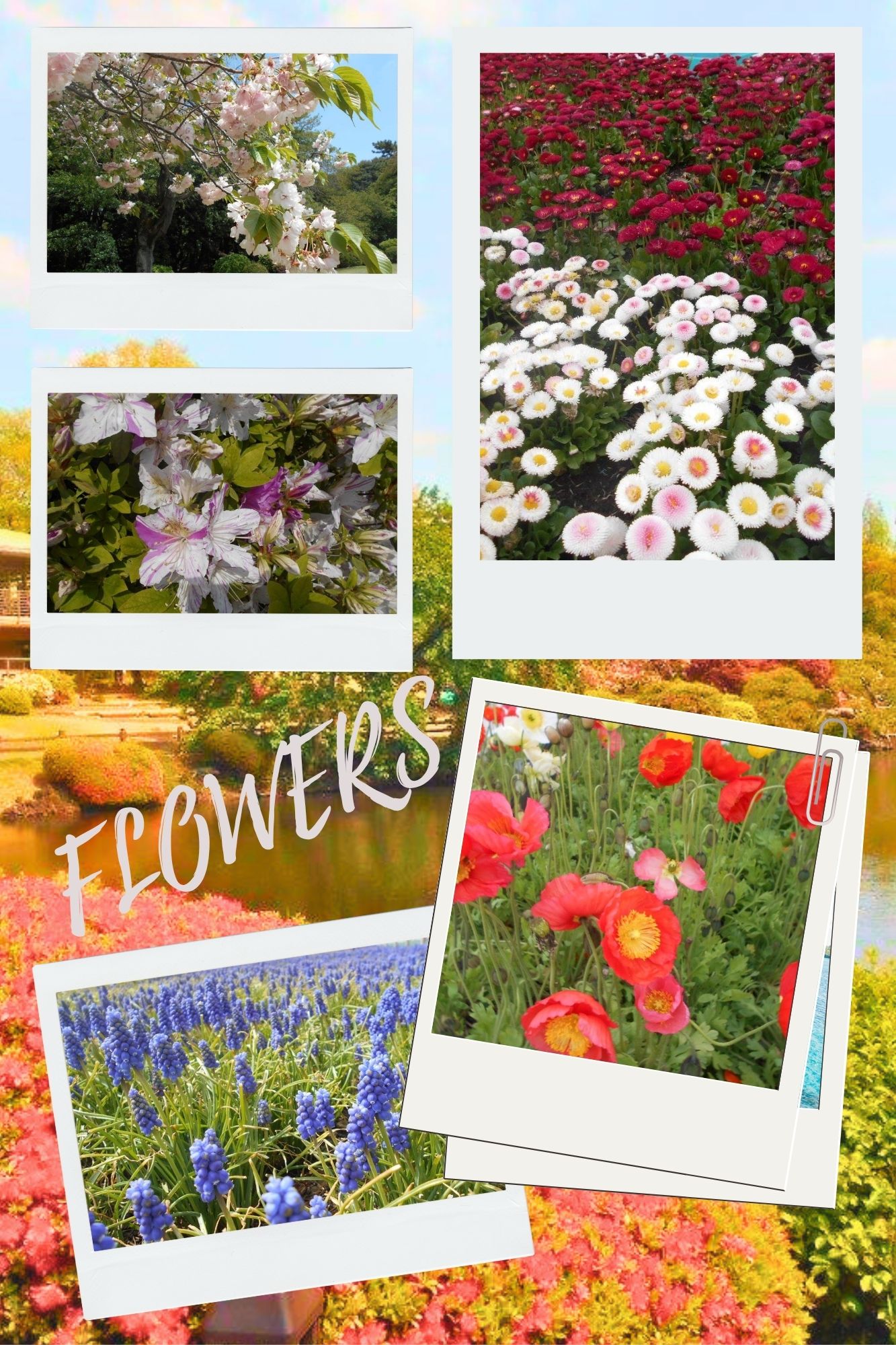 Blue Green Gray Floral Summer Travel Photo Collage (1).jpg