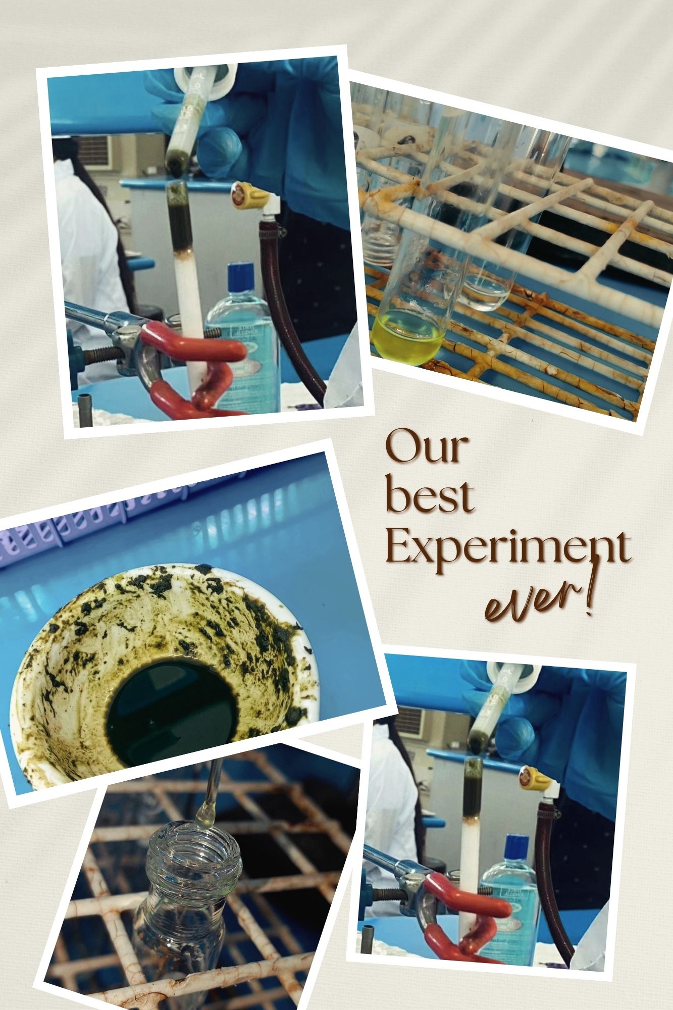 Blue Green Gray Floral Summer Travel Photo Collage (3).jpg