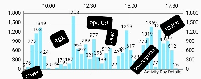 Screenshot_20220426-221614_Actifit Fitness Tracker.jpg