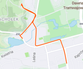 Opera Zrzut ekranu_20200620_213116_www.strava.com.png