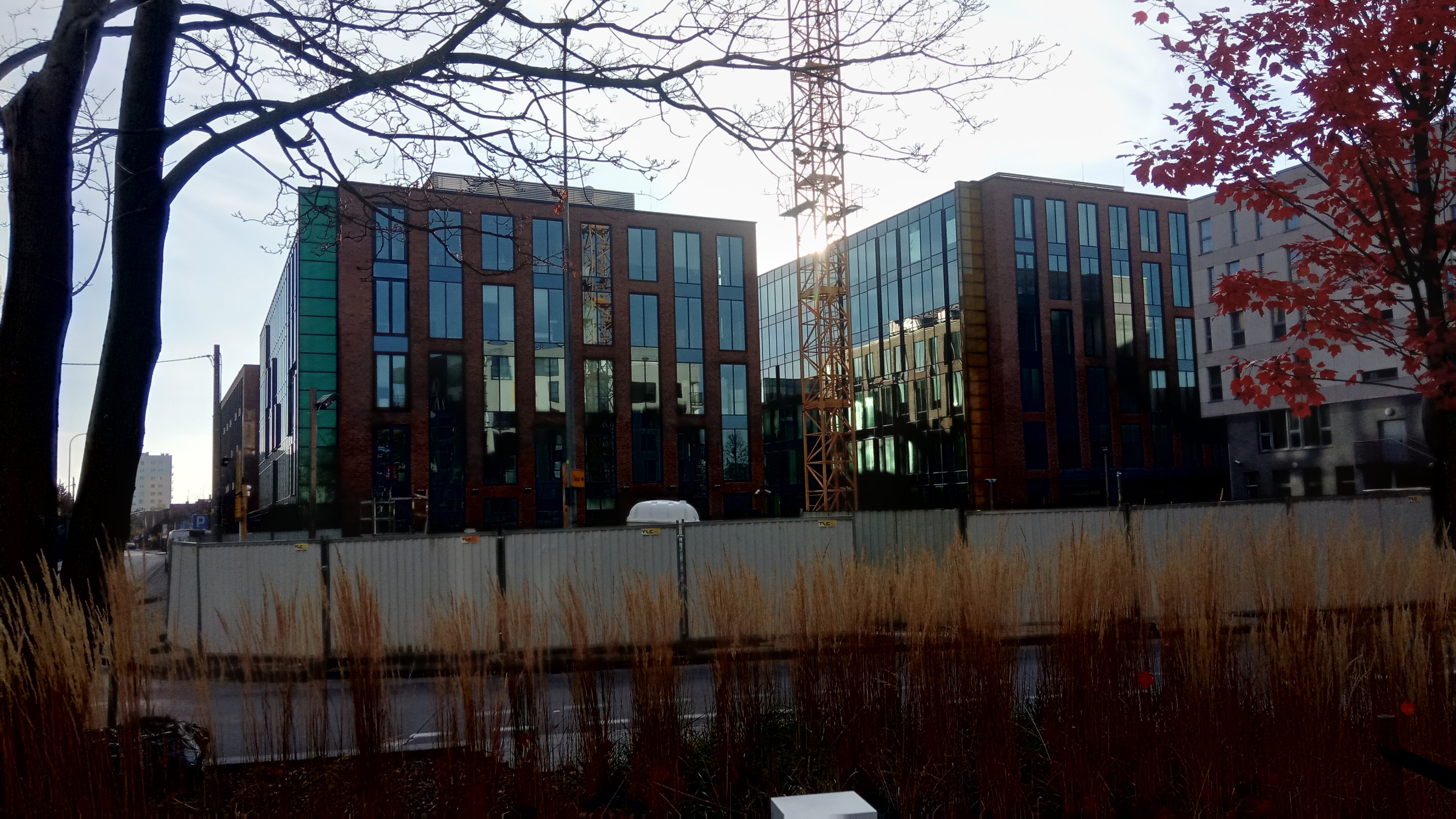 IMG_20201125_125141.jpg