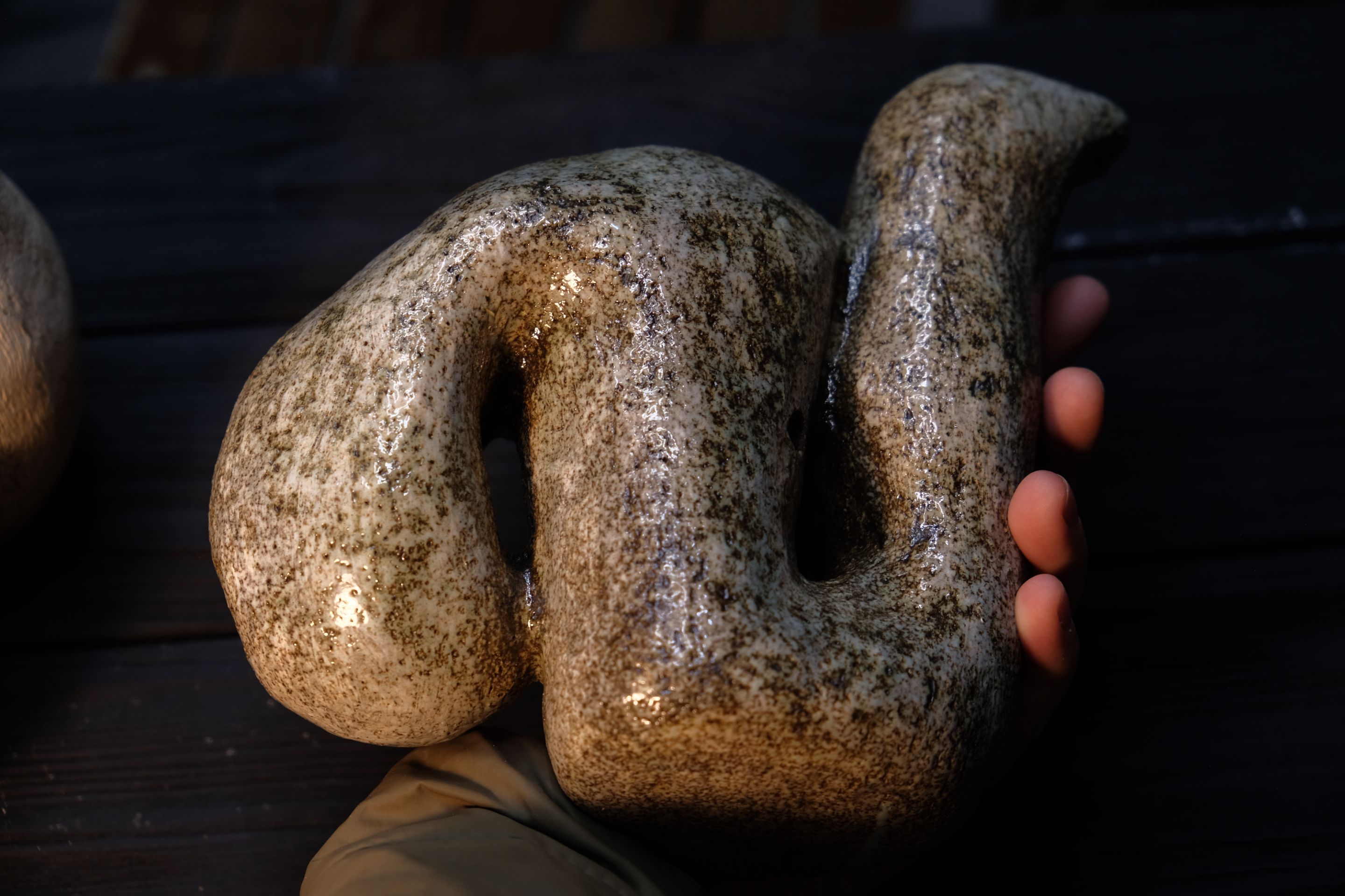 DSCF6590.JPG