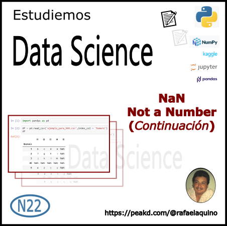 Data Science N022 NaN - Not a Number (continuación)