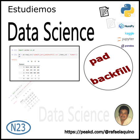 Data Science N023 pad - backfill