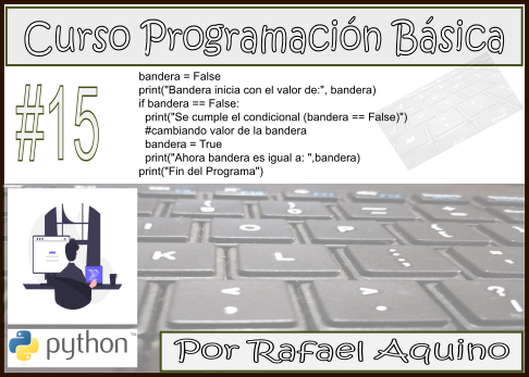 Curso de Programación Básica N15. Interruptores