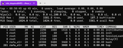 linux10d.png