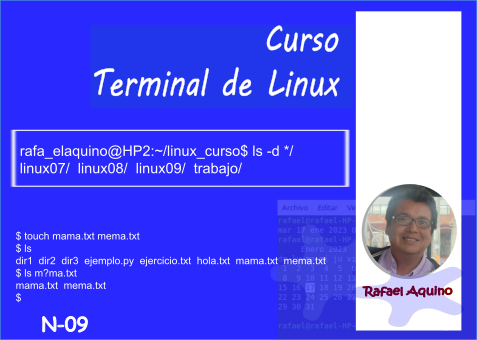 Curso: Terminal de Linux. N09. Autocompletado y Comodines.