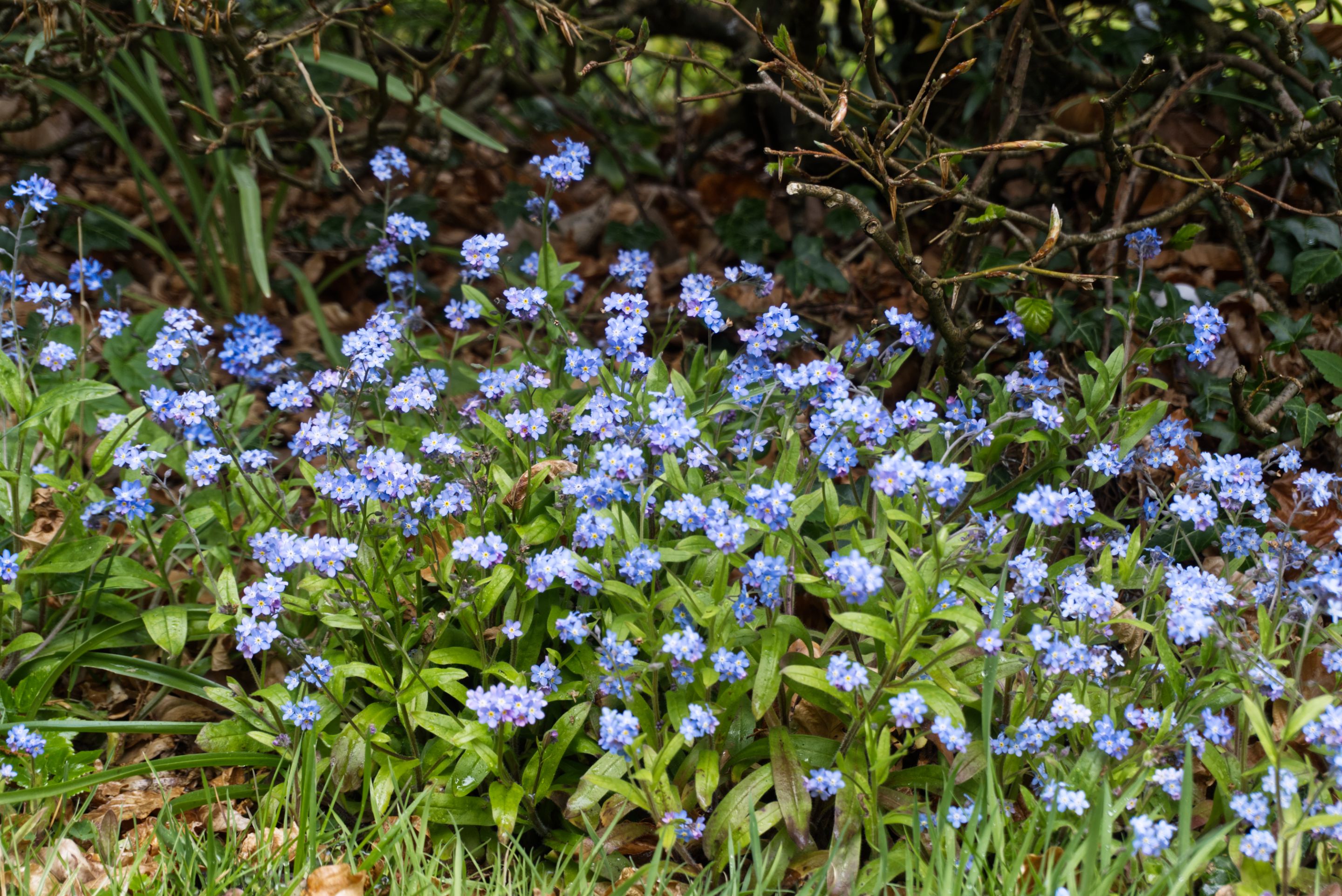 DSC02281.JPG