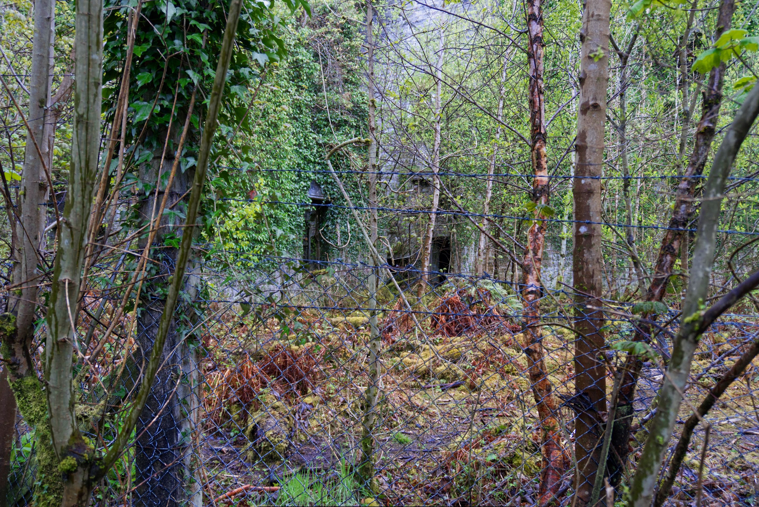DSC02270.jpg