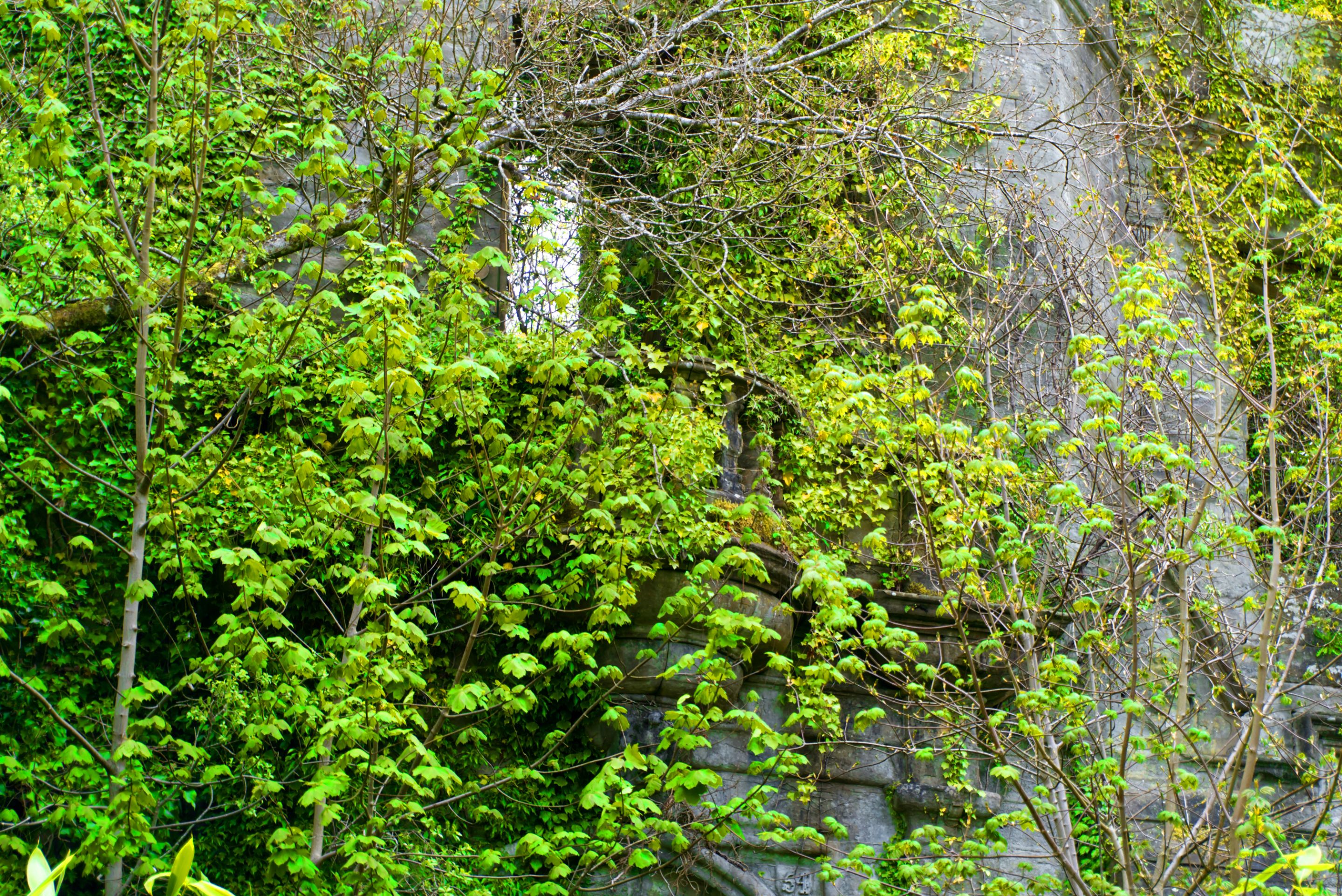 DSC02283.jpg