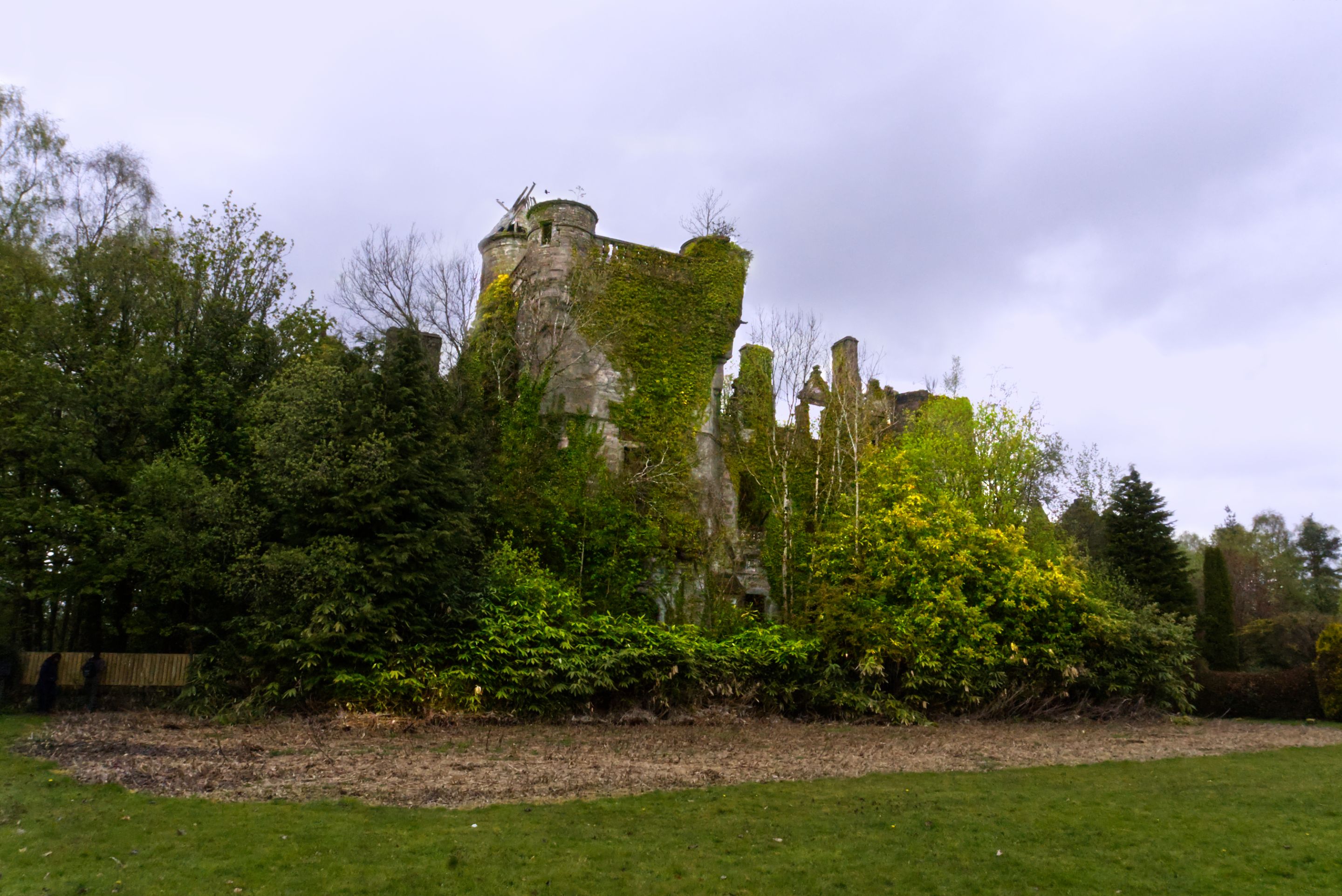 DSC02197.jpg