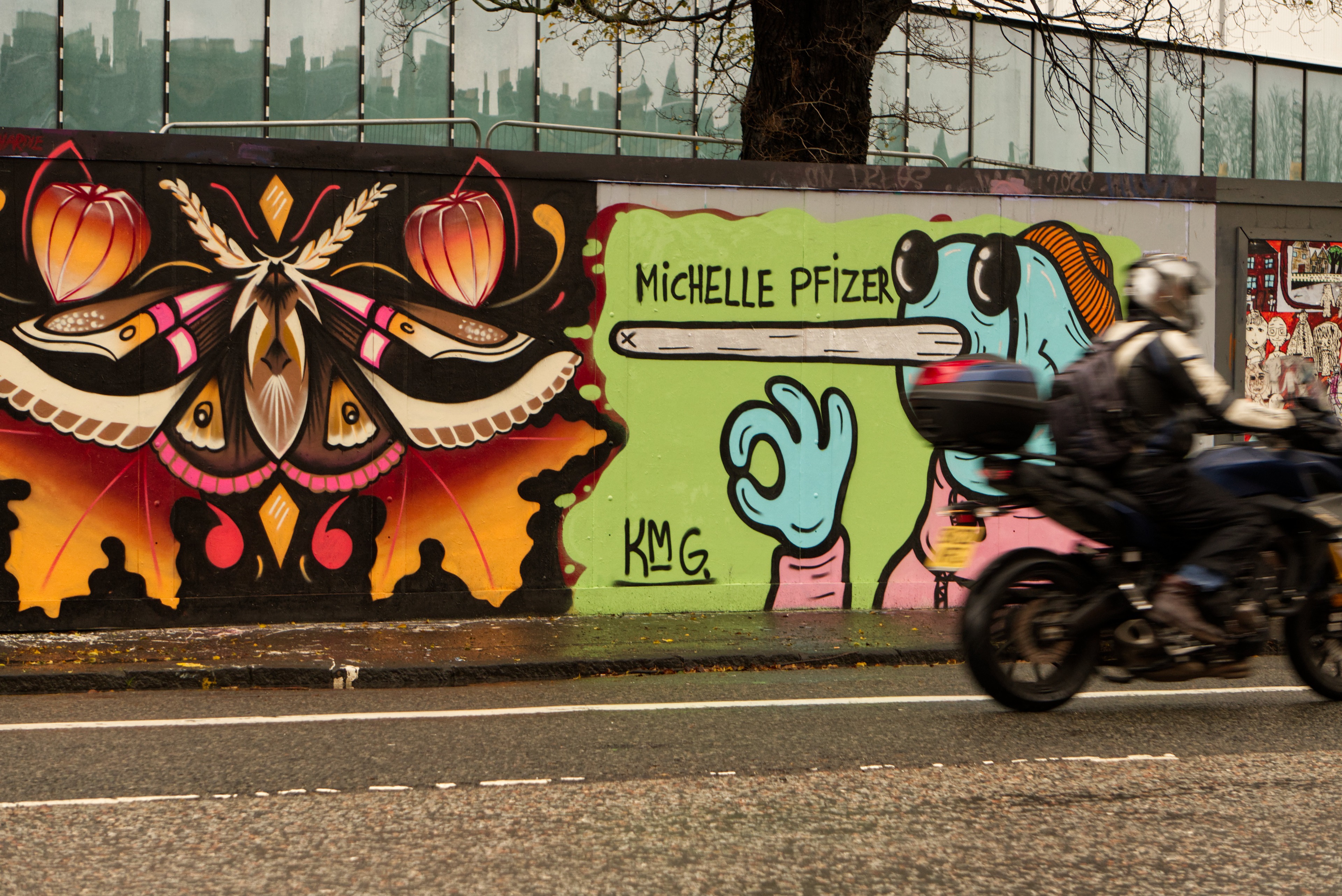 DSC08480.jpg