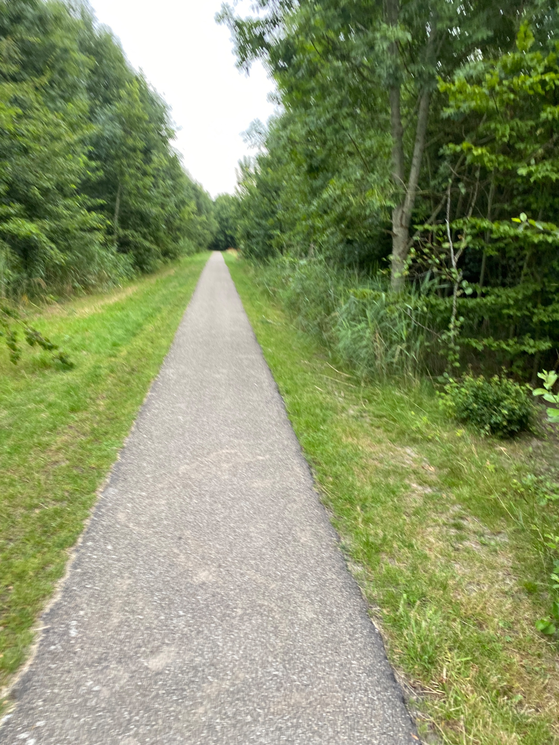 IMG_2492.jpeg