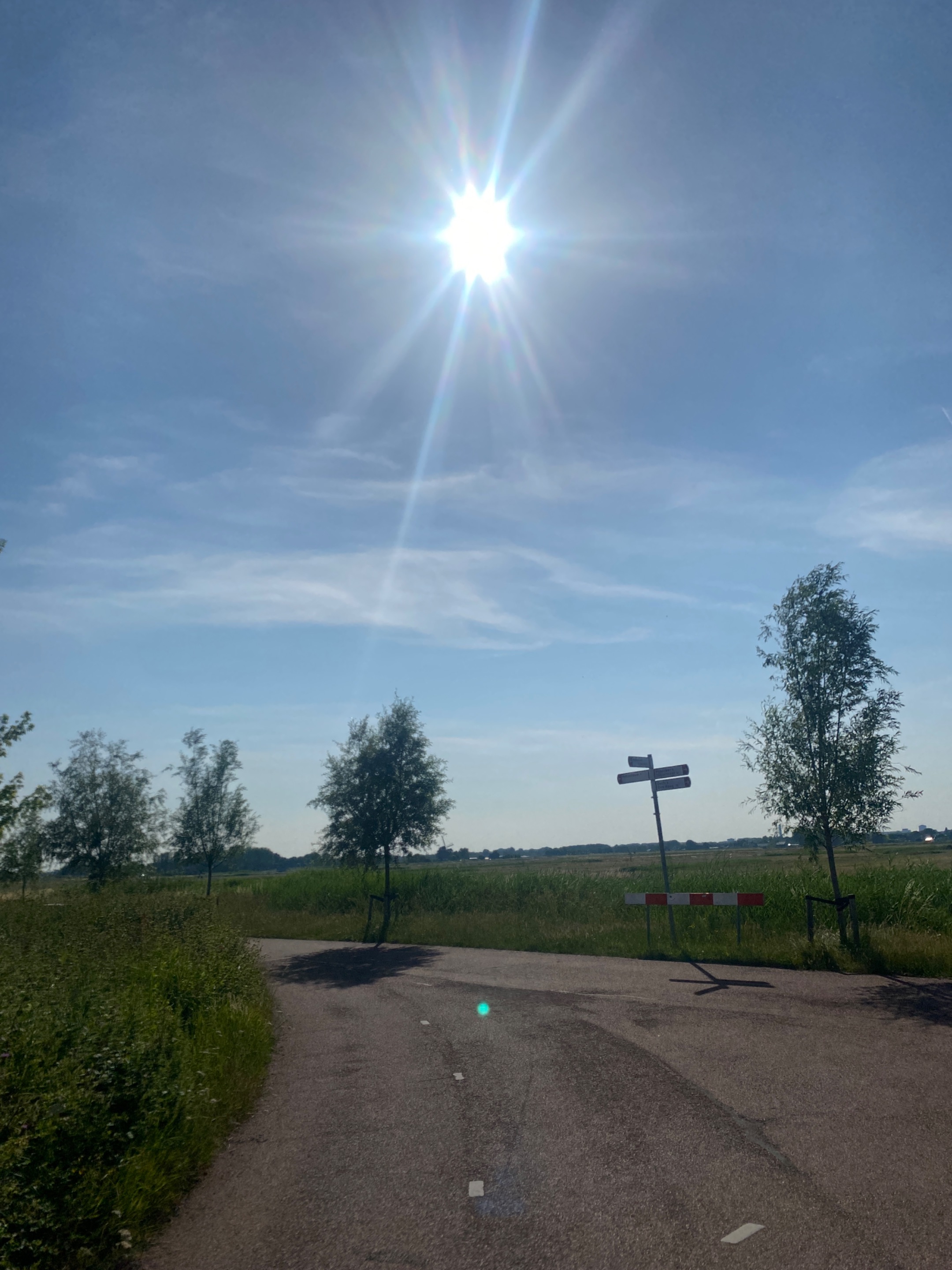 IMG_1994.jpeg