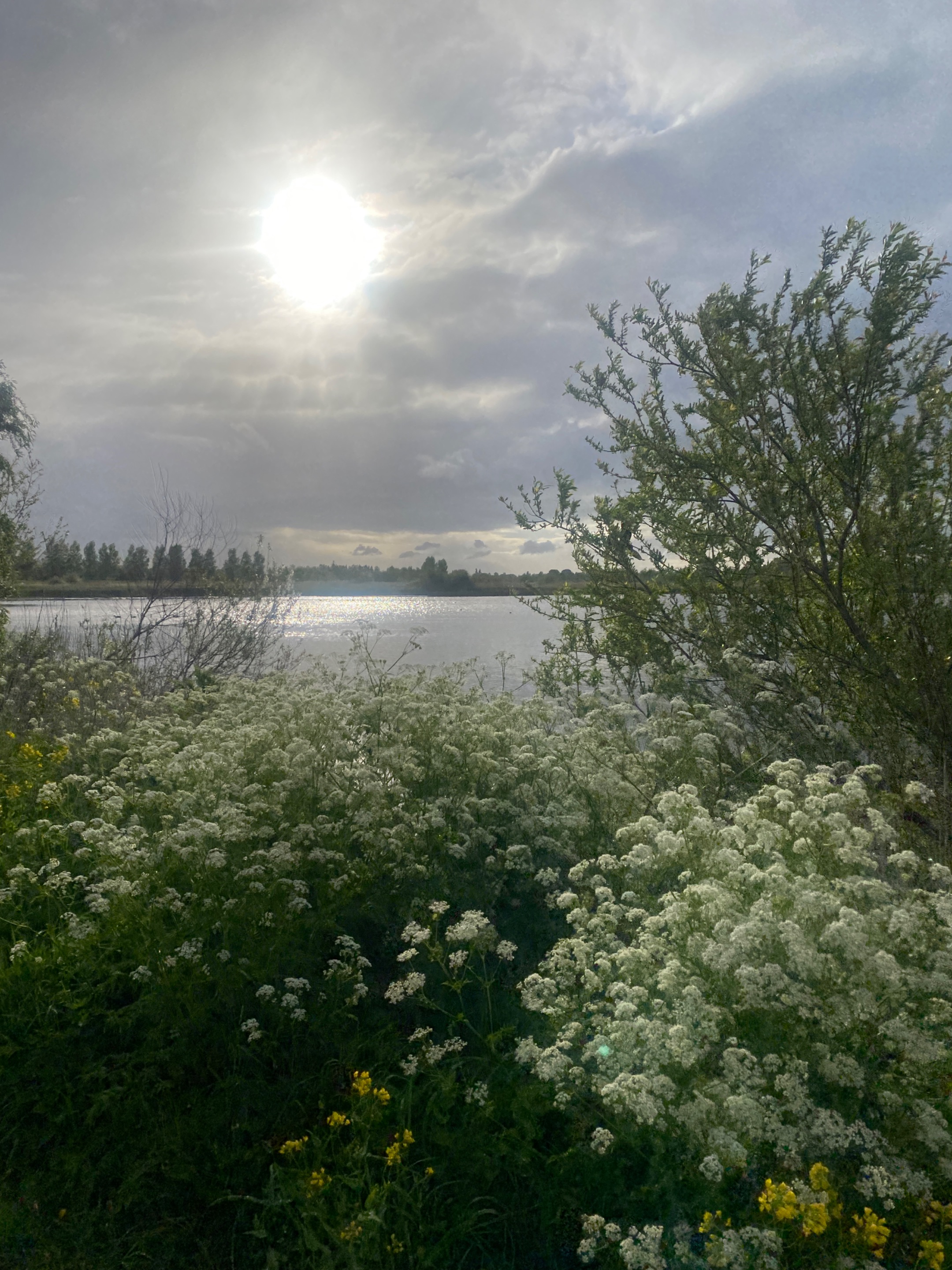 IMG_0093.jpeg