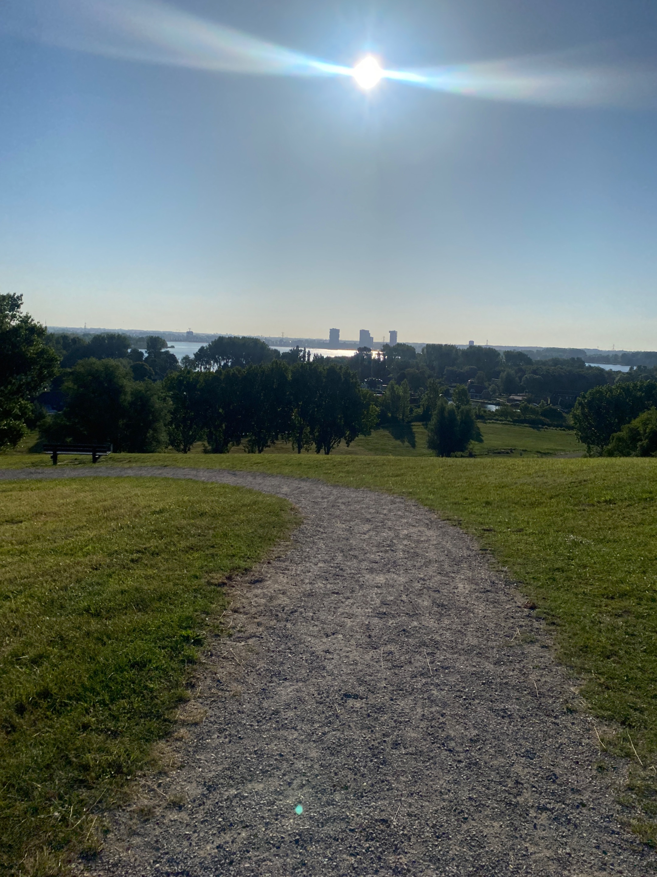 IMG_2203.jpeg