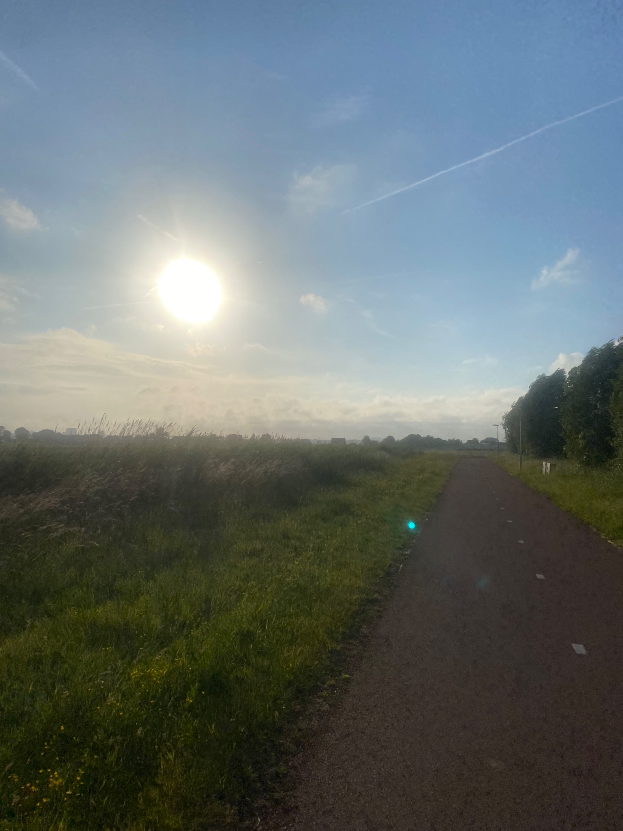 IMG_0968.jpeg
