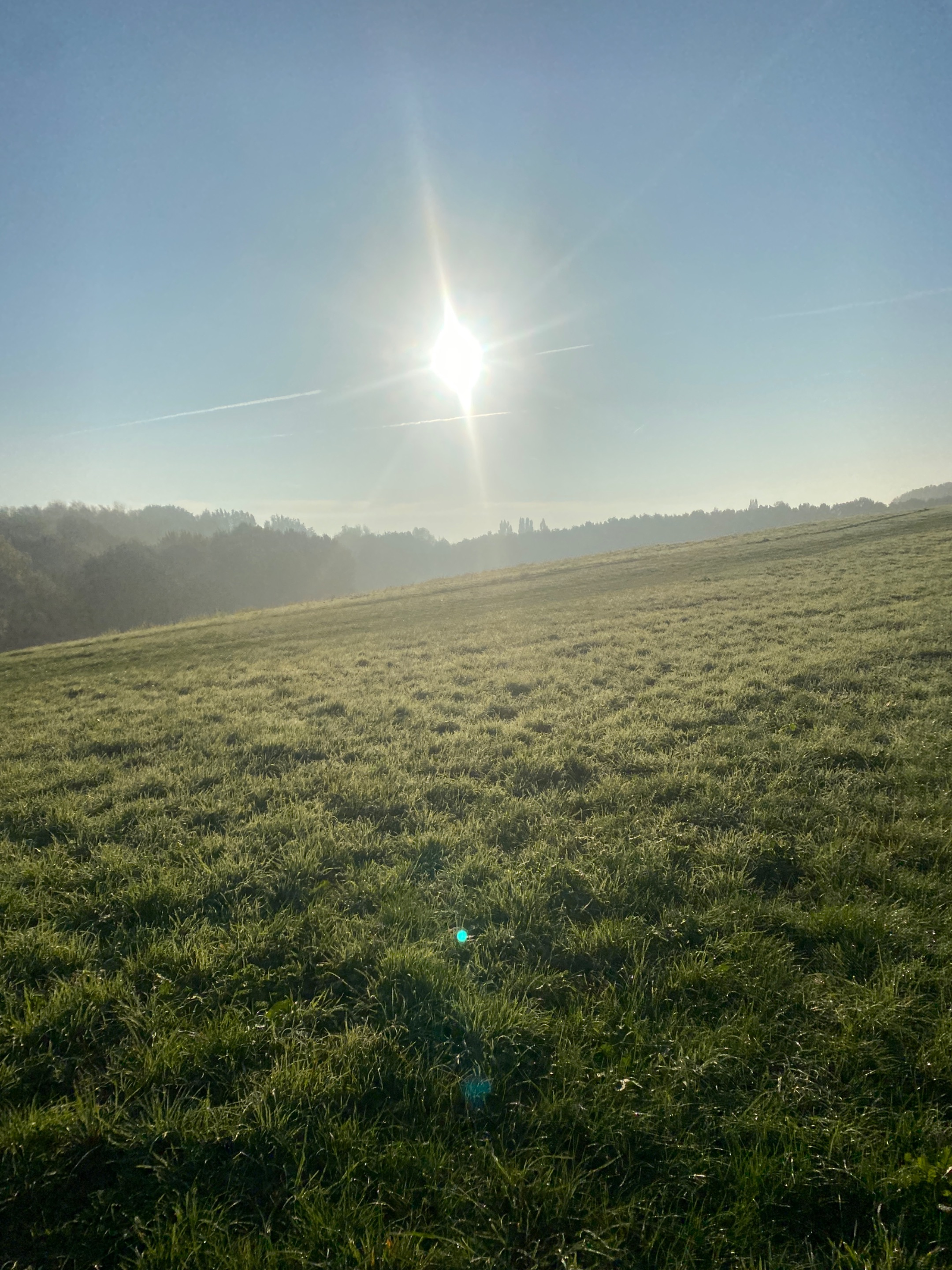 IMG_5735.jpeg