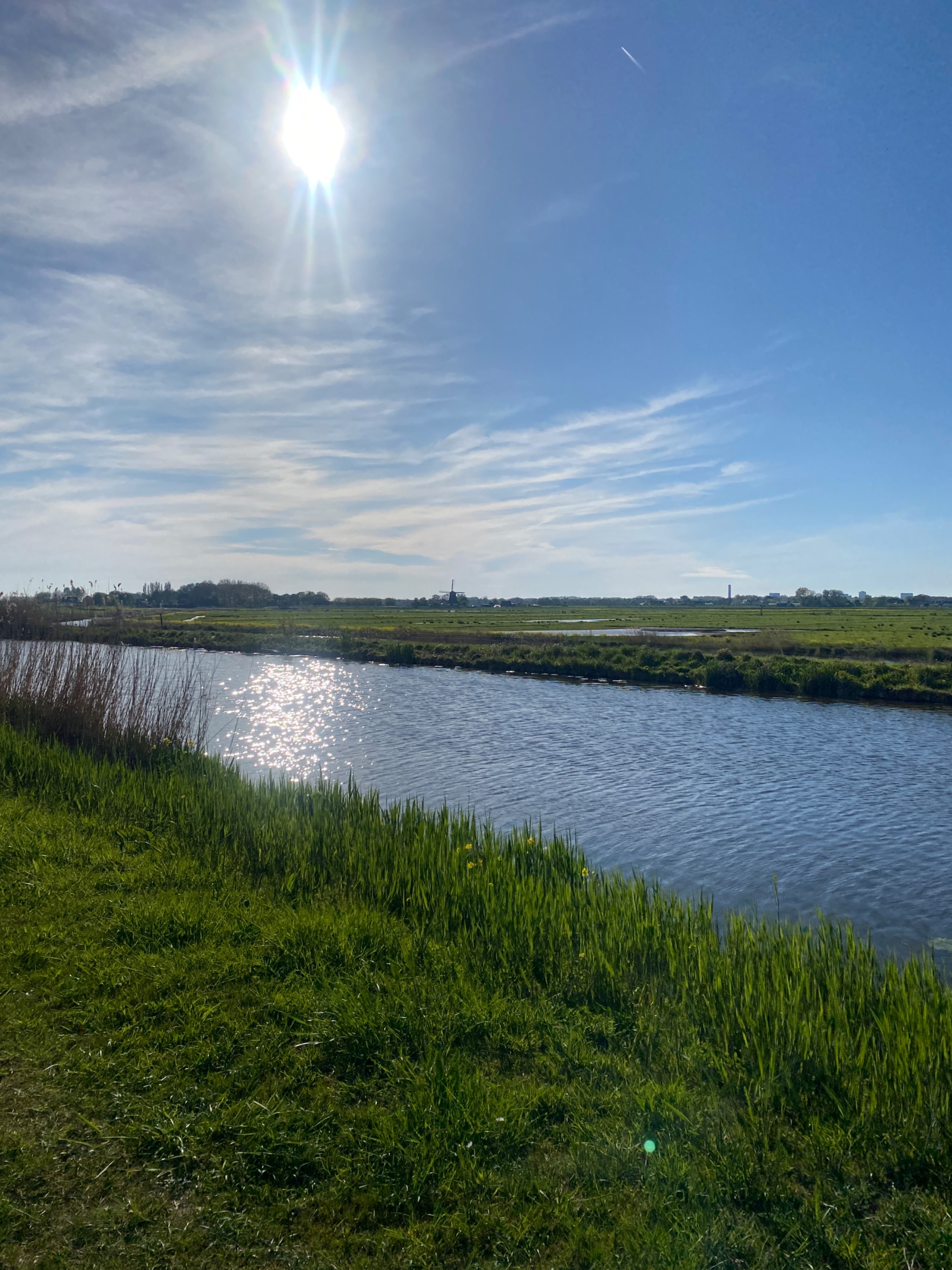 IMG_9504.jpeg