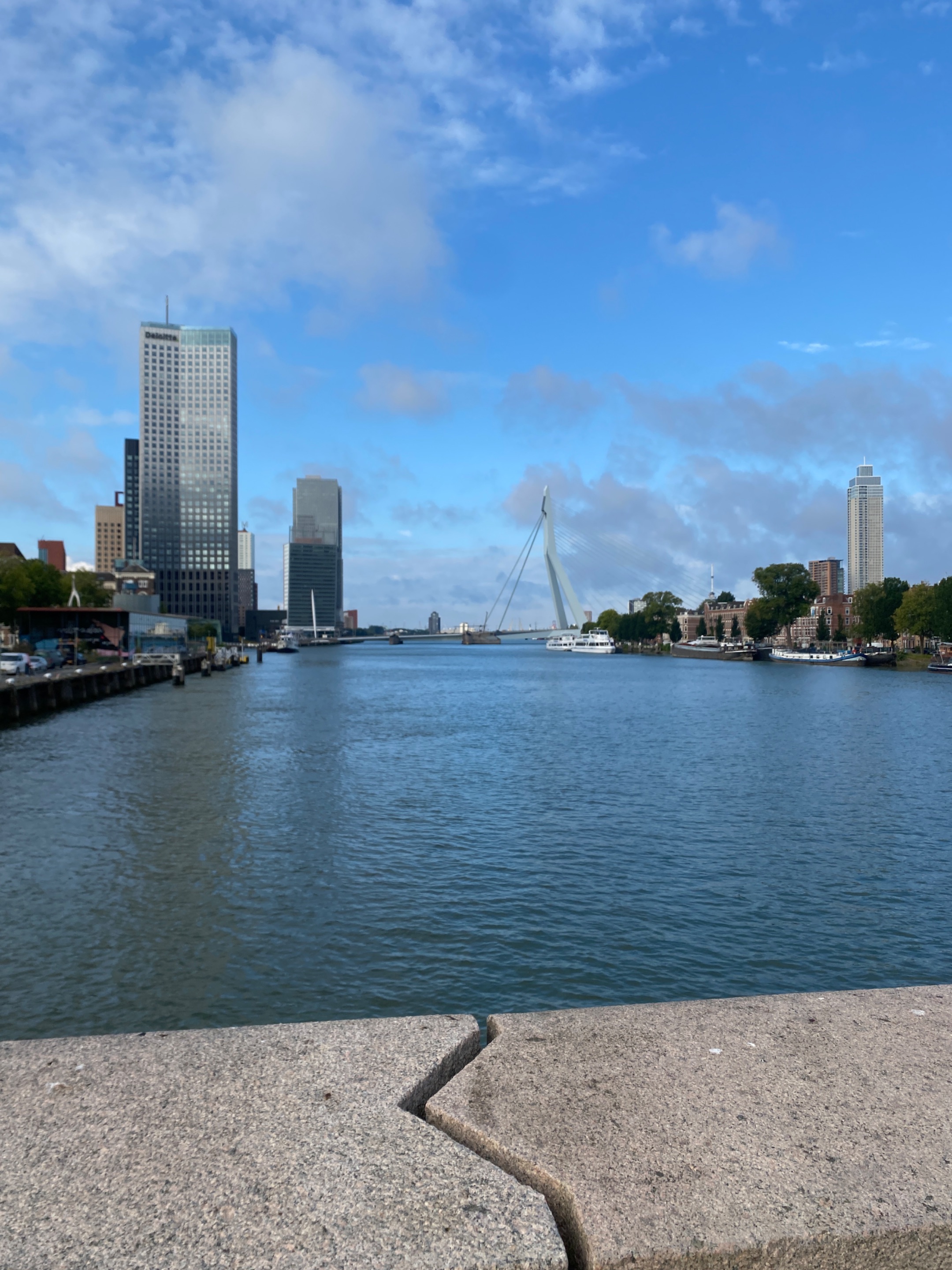 IMG_4984.jpeg