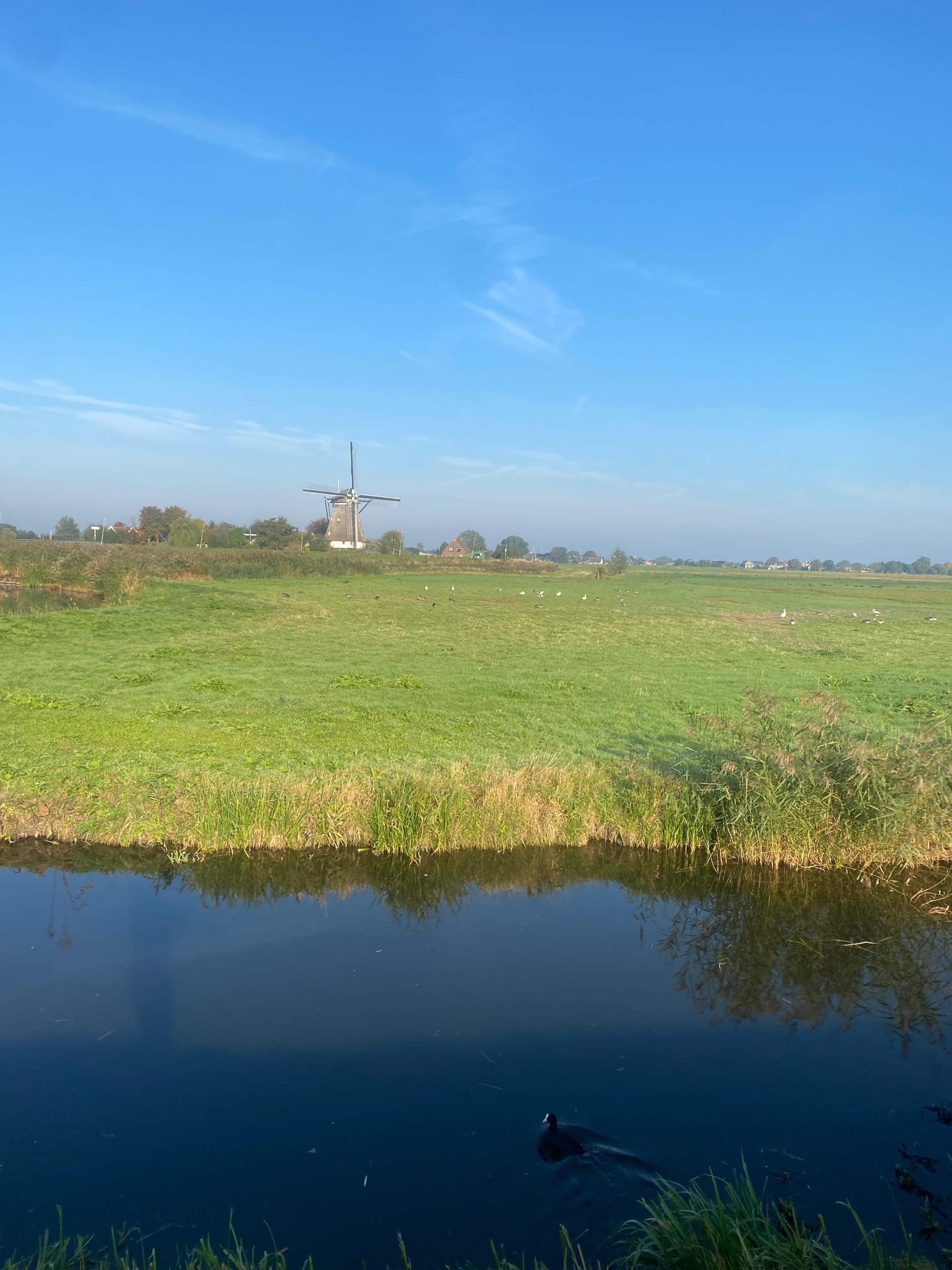 IMG_5796.jpeg