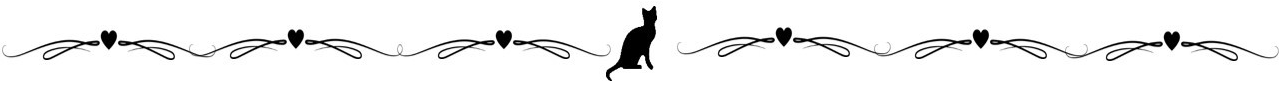 1_Banner_separador_gato.jpg