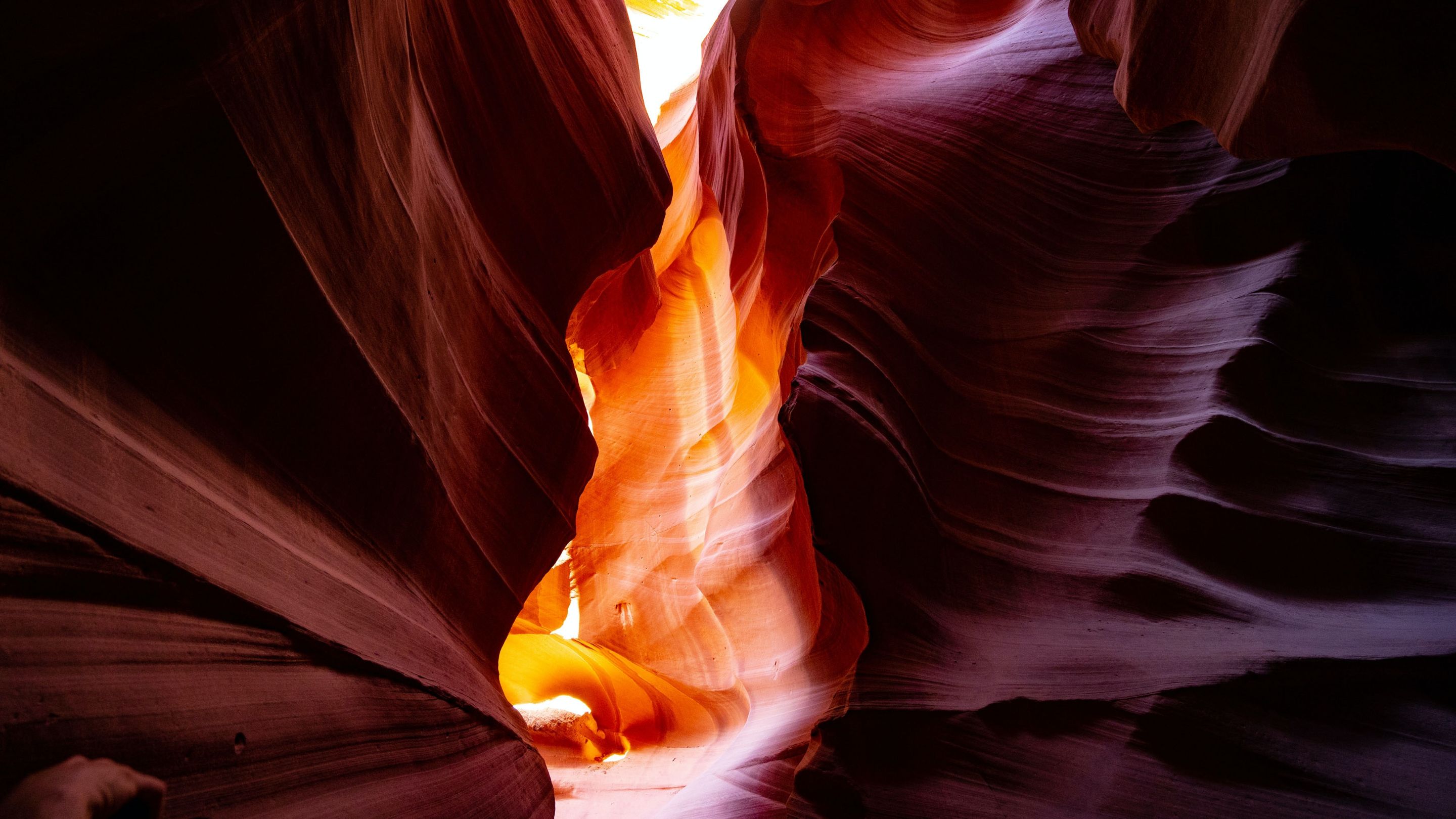 tom-gainor-8jwjnBmD4Y4-unsplash.jpg