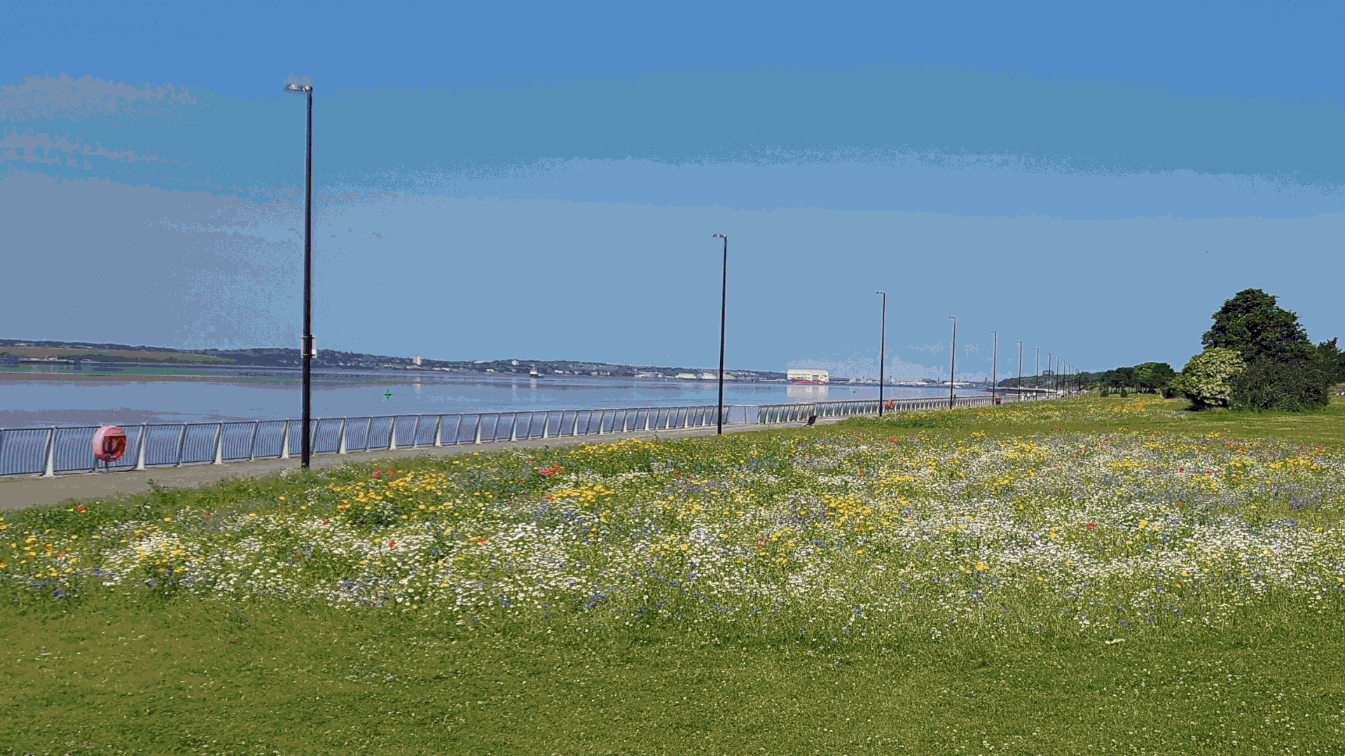 Down By The River_Compressed01.gif