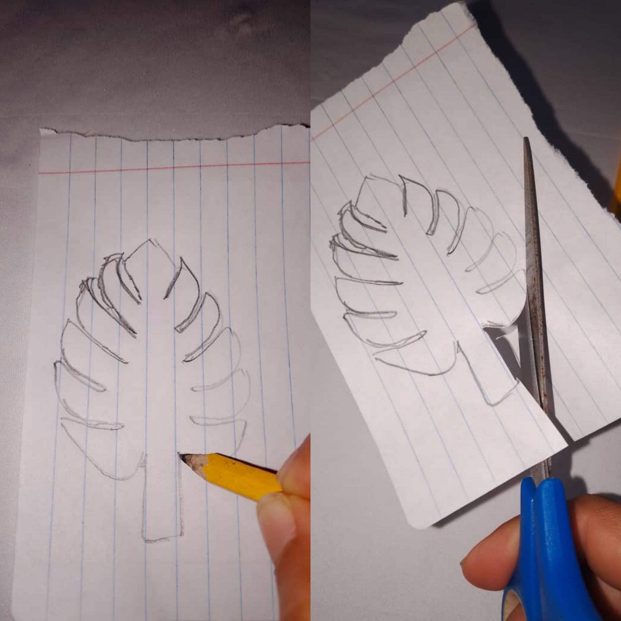 1000652586.jpg