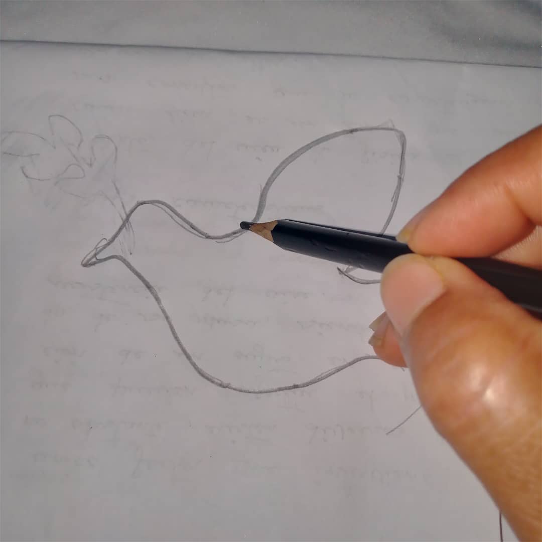 1000824384.jpg