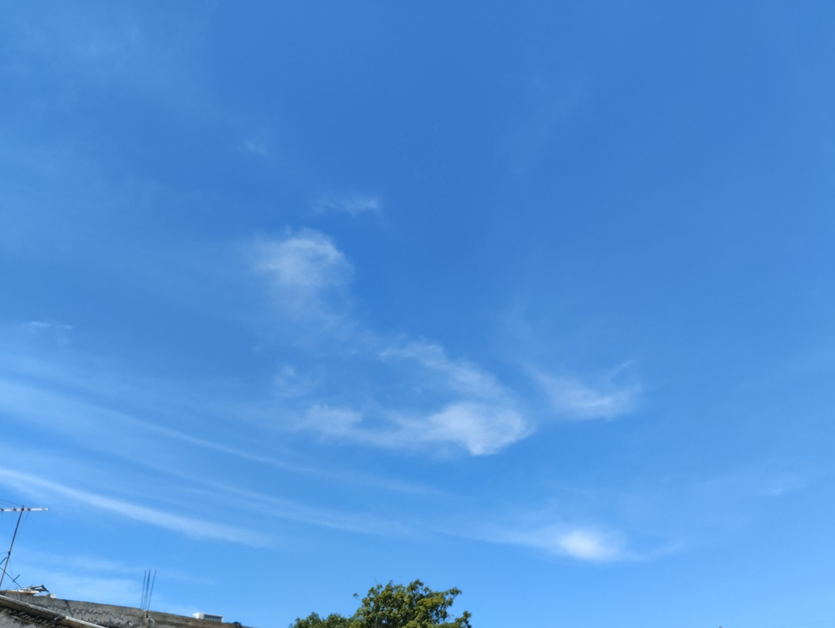 GridArt_20250905_110956624.jpg