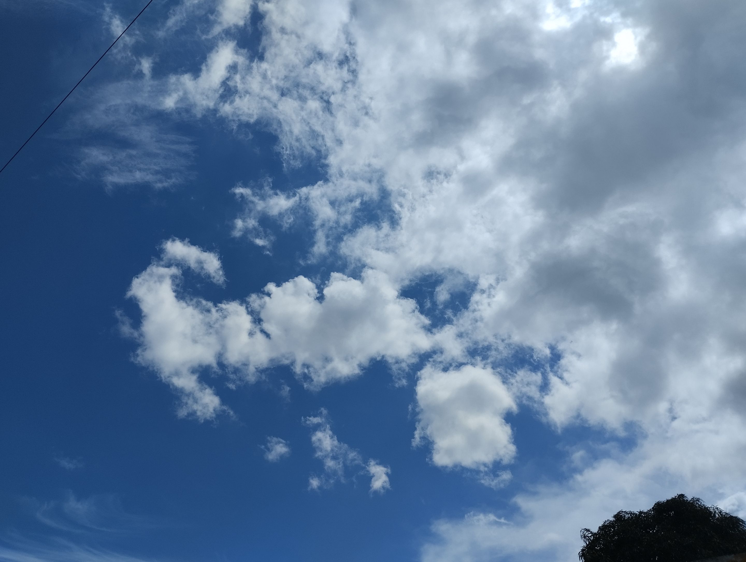 GridArt_20250905_111134187.jpg