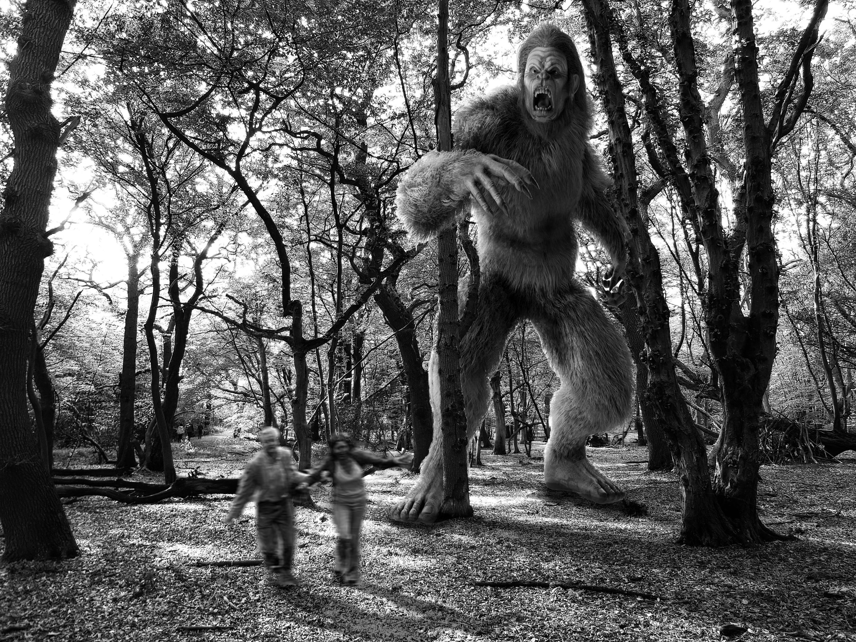 bigfoot final.jpg