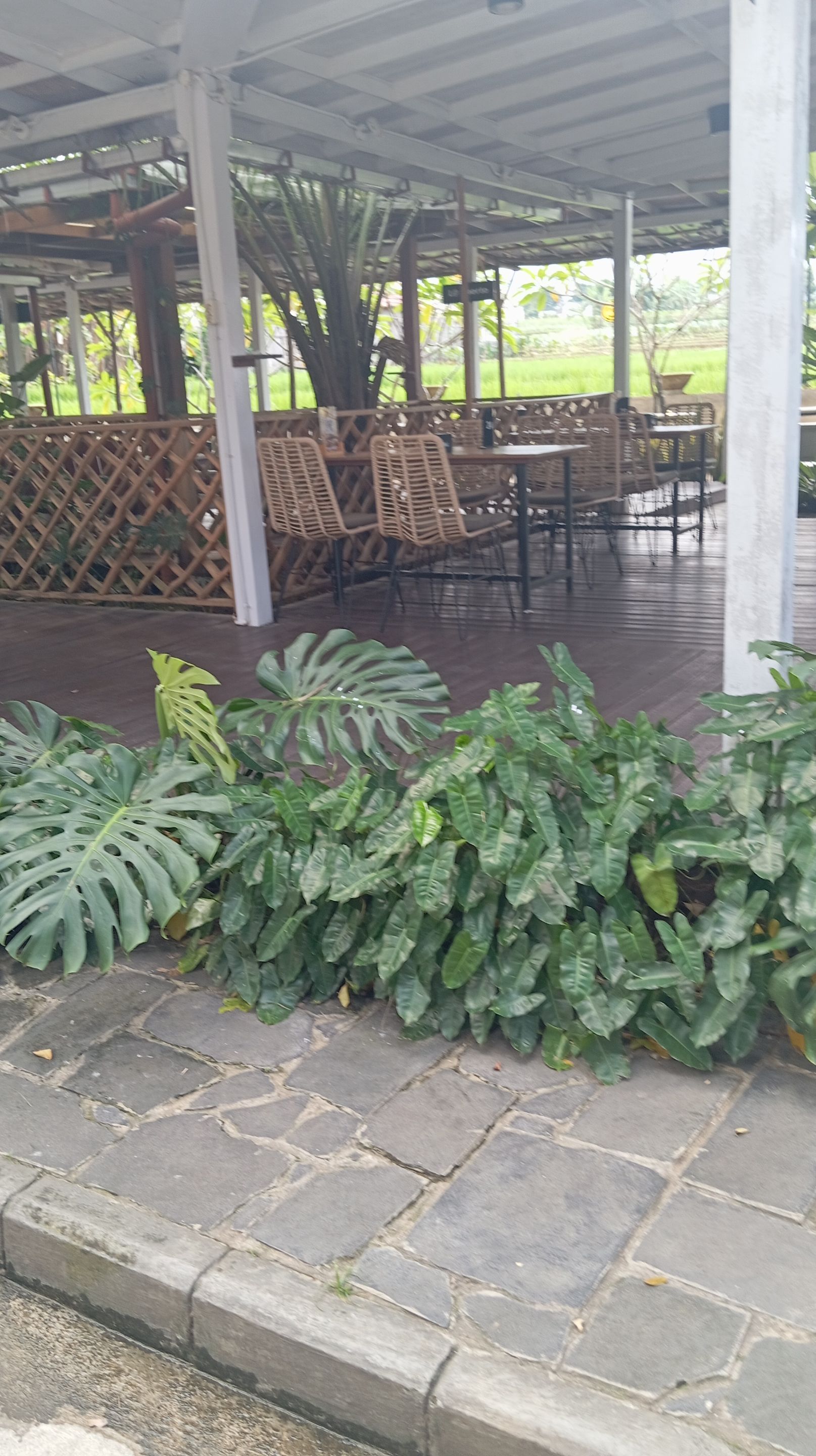 IMG_20250510_131419.jpg