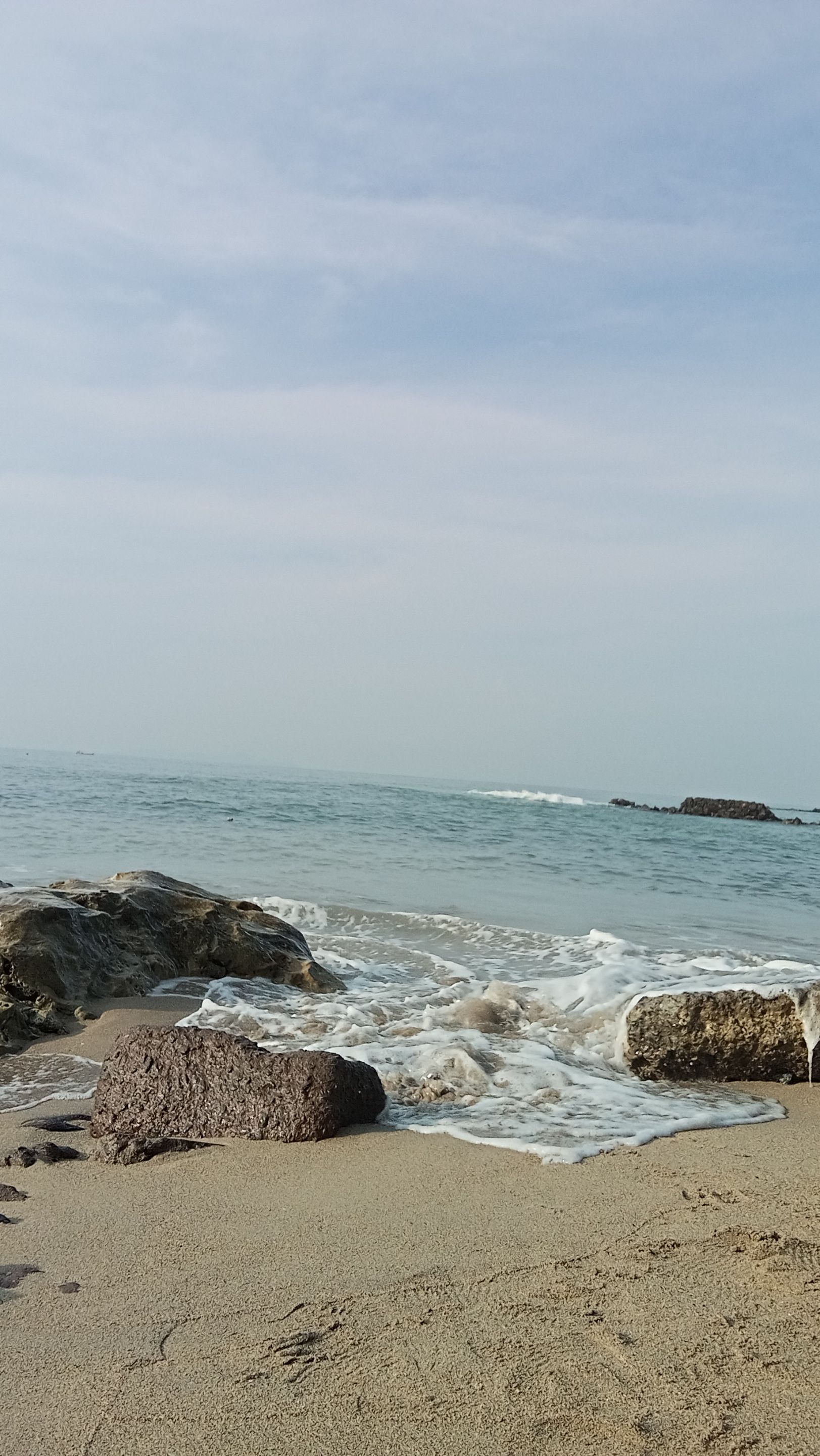 IMG_20250607_073722.jpg