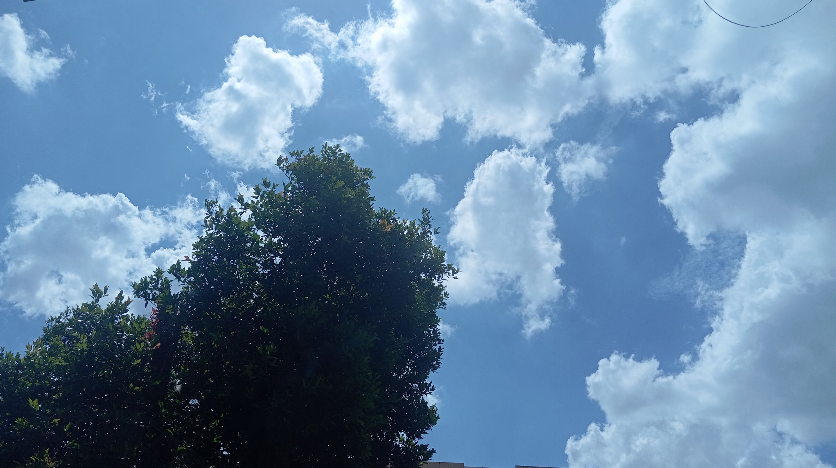 IMG_20250424_101717.jpg