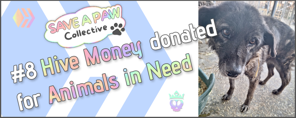 Non animated Header Donations.png