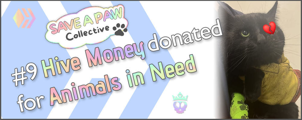 Non animated Header Donations 9.png