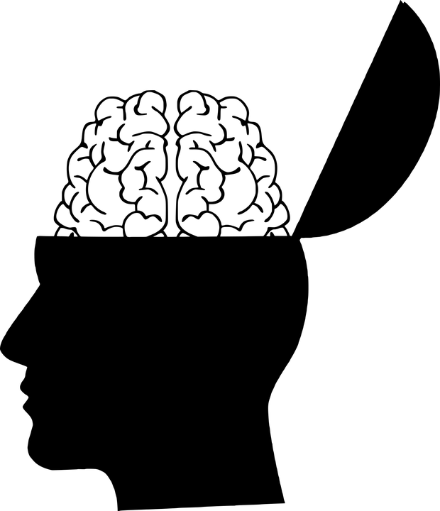 brain-4142873_960_720.png